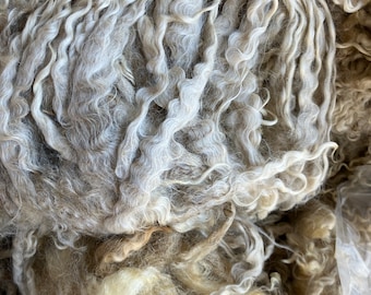 5013 Teeswater fleece