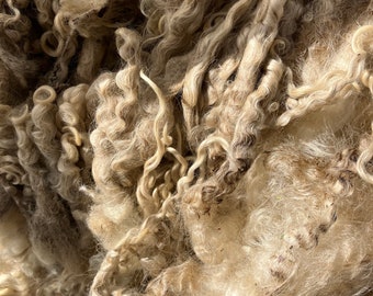 9096 Teeswater fleece