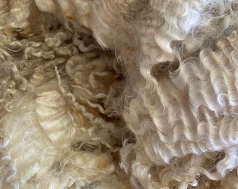 1001 Teeswater fleece 7.5” 6.8 lbs