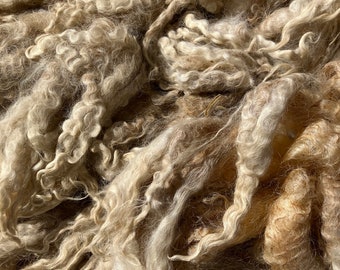 9018 Teeswater fleece