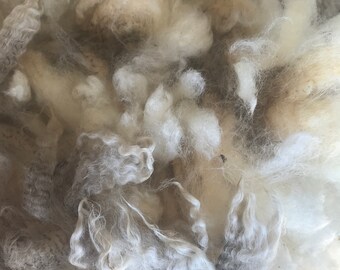 6004 Teeswater Rambouillet fleece 6” 8.2 lbs