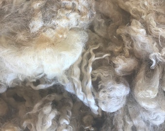 6062 Teeswater fleece 8” 8.8 lbs