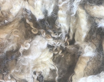 6002 Teeswater fleece 8” 9.8 lbs