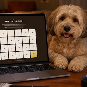 May include: A laptop screen displays a digital calendar titled FOR PET PARENTS with twenty-four numbered white squares on a dark background, while a fluffy light brown dog with floppy ears sits beside the device looking toward the camera.