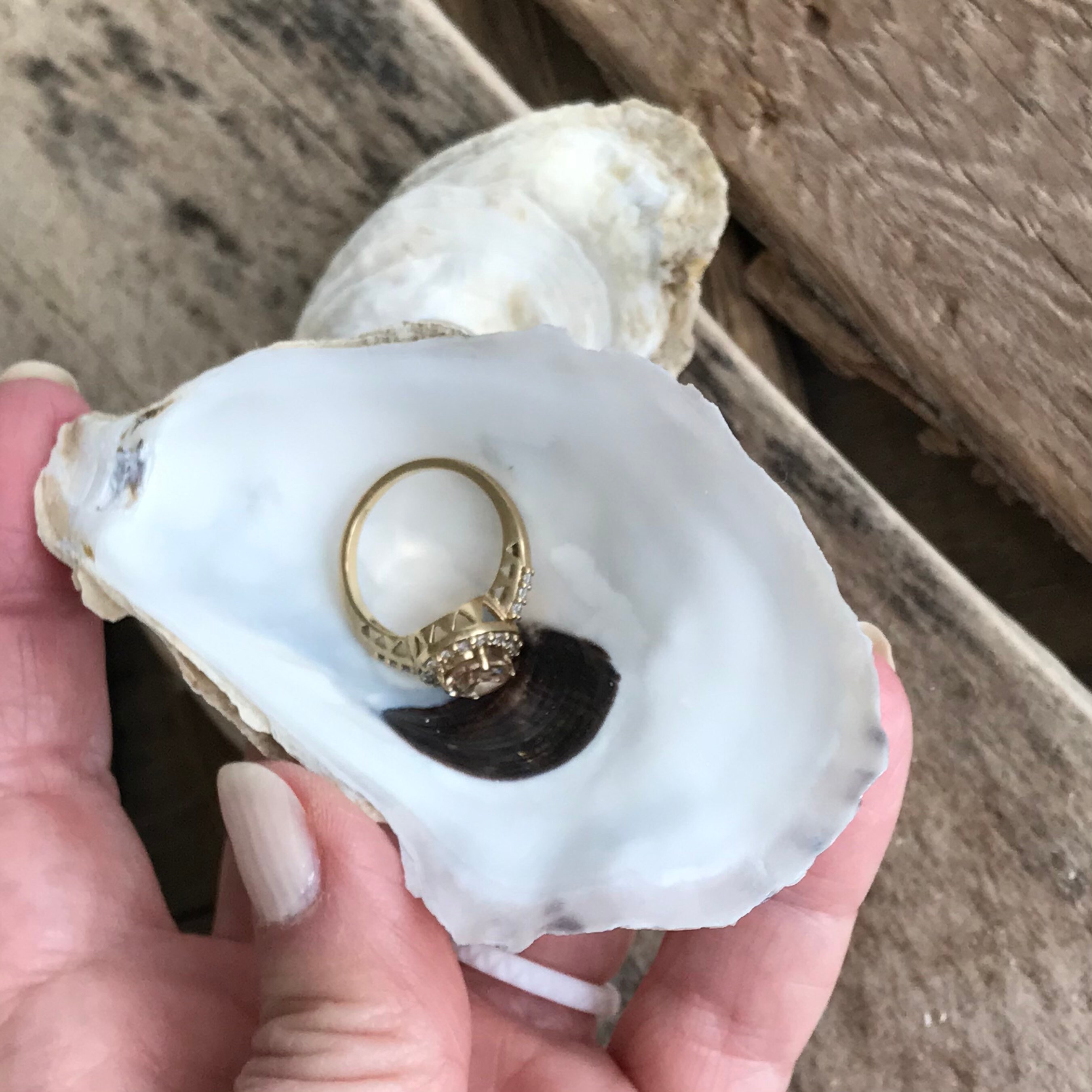 Oyster ring box deals