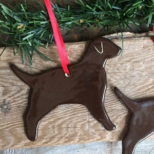 Pu&ograve; includere: Un ornamento in ceramica marrone scuro lucido a forma di cane Labrador retriever. L'ornamento presenta una superficie liscia e riflettente e un piccolo foro nella parte superiore, attraverso il quale &egrave; infilato un sottile nastro rosso vivo.