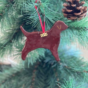 Chocolate Lab Ornament : Handmade Labrador Gifts, Silver Labs, 2026 ornaments, immagine 10