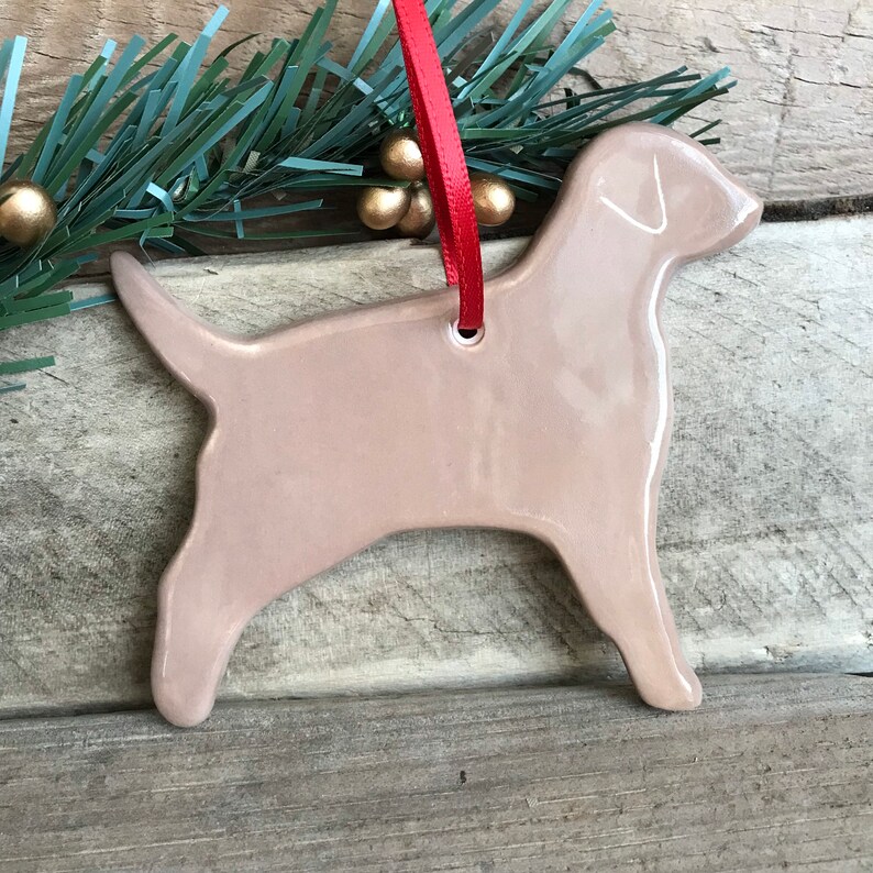 Pu&ograve; includere: Un ornamento in ceramica color beige chiaro lucido a forma di cane di profilo. L'ornamento presenta una superficie liscia e riflettente e un piccolo foro nella parte superiore, attraverso il quale &egrave; infilato un sottile nastro rosso vivo.