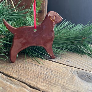 Pu&ograve; includere: Un ornamento in ceramica marrone scuro lucido a forma di cane labrador. La figura presenta una superficie liscia e riflettente con un piccolo contorno giallo dell'orecchio. Un sottile nastro rosso &egrave; infilato in un foro nella parte superiore.