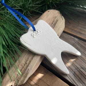 May include: A white tooth-shaped ornament featuring a silver charm with the text 2026. The ornament is suspended by a bright blue ribbon, creating a contrast against the smooth, light-colored surface of the tooth-shaped ceramic piece.