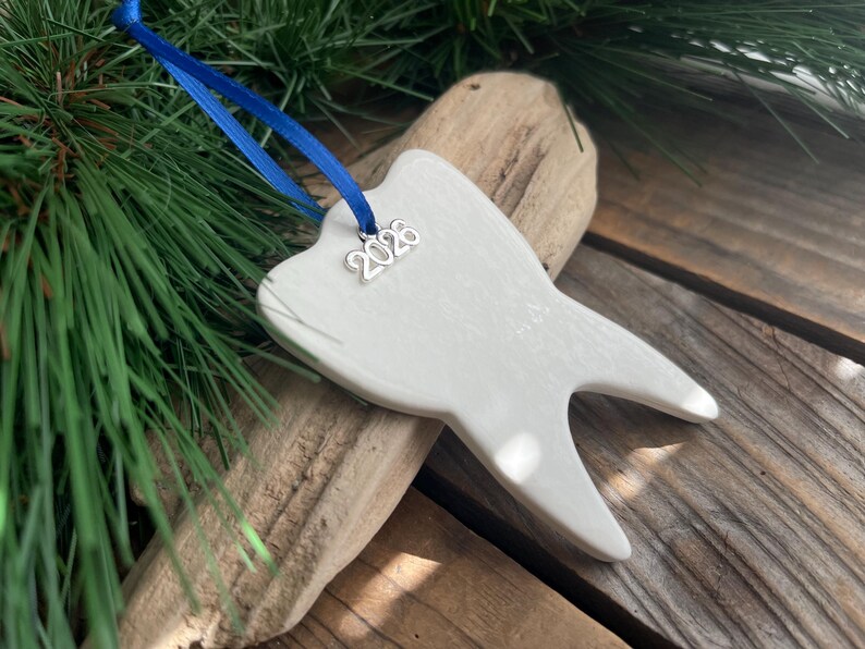 May include: A white tooth-shaped ornament featuring a silver charm with the text 2026. The ornament is suspended by a bright blue ribbon, creating a contrast against the smooth, light-colored surface of the tooth-shaped ceramic piece.