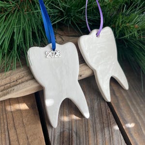 May include: Two white ceramic tooth-shaped ornaments with smooth, glossy surfaces. One ornament hangs from a blue ribbon with a silver charm displaying the year 2026, while the other hangs from a purple ribbon. Both are shaped like molars.