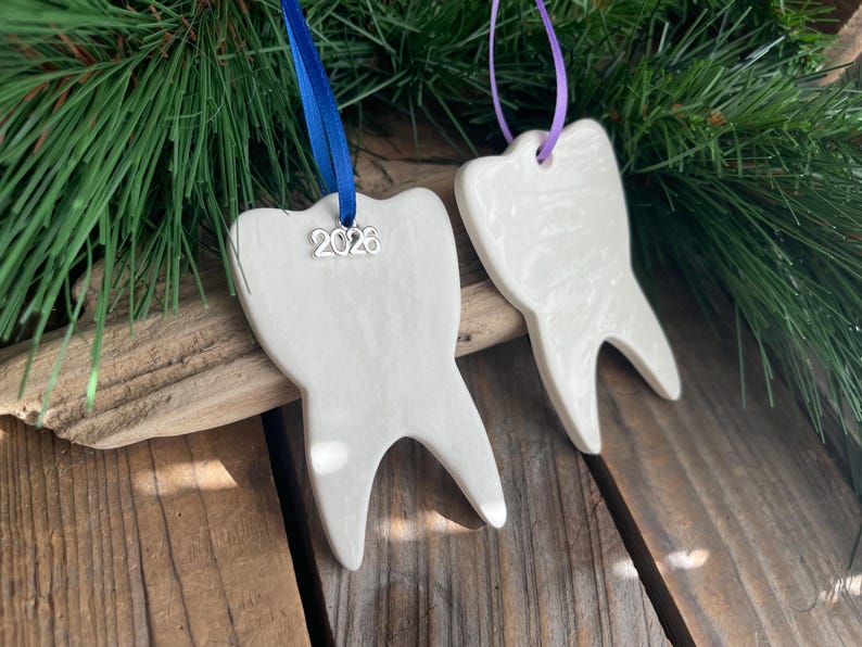 May include: Two white ceramic tooth-shaped ornaments with smooth, glossy surfaces. One ornament hangs from a blue ribbon with a silver charm displaying the year 2026, while the other hangs from a purple ribbon. Both are shaped like molars.