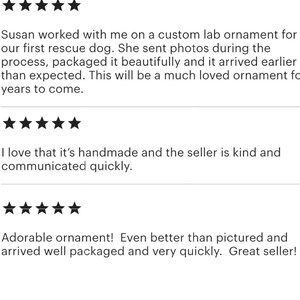 Pu&ograve; includere: Tre recensioni dei clienti a cinque stelle visualizzate in testo nero su sfondo bianco. Le recensioni descrivono un ornamento da laboratorio personalizzato, lodano la qualit&agrave; artigianale e menzionano la comunicazione e la spedizione rapida.