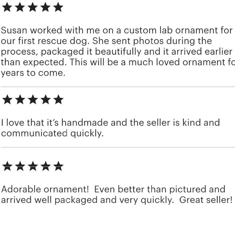 Pu&ograve; includere: Tre recensioni dei clienti a cinque stelle visualizzate in testo nero su sfondo bianco. Le recensioni descrivono un ornamento da laboratorio personalizzato, lodano la qualit&agrave; artigianale e menzionano la comunicazione e la spedizione rapida.