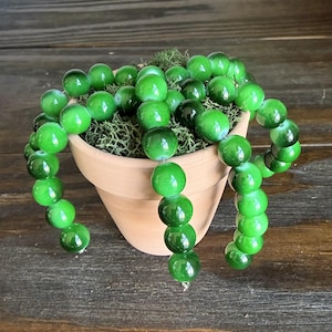 May include: A terracotta pot filled with green moss and strands of glossy, spherical green beads. The beads feature a cat's eye effect with a light-reflecting band, arranged in multiple hanging strings that drape over the edges of the clay container.