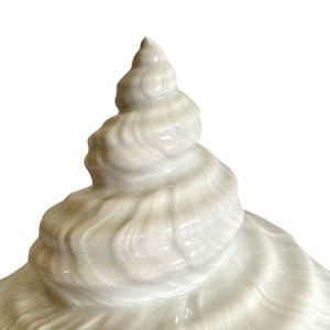 Pu&ograve; includere: Coperchio in ceramica bianca a forma di conchiglia per un contenitore decorativo. Il coperchio &egrave; dettagliato con un motivo a spirale di conchiglia.