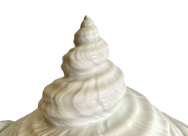 Pu&ograve; includere: Coperchio in ceramica bianca a forma di conchiglia per un contenitore decorativo. Il coperchio &egrave; dettagliato con un motivo a spirale di conchiglia.