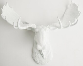 Faux Taxidermy Moose Head - The Edmonton - White Resin Moose Head by White Faux Taxidermy - Chic Fake Animal Head Hanging Wall Decor