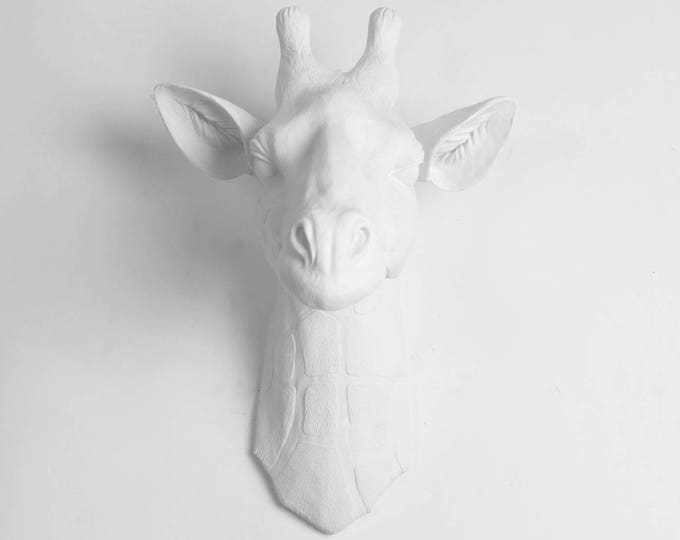 White Giraffe Head Wall Mount the Geronimo by White Faux Etsy
