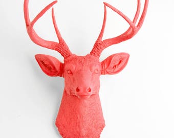 Deer Head Wall Mount, The Molly - Coral Resin Deer Head, Coral Resin Faux Animal Stag by White Faux Taxidermy®