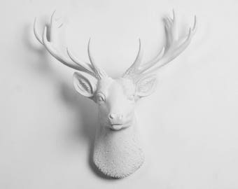 Faux Deer Head Wall Mount - The MINI Viktor Deer Head Decor - Mini White Resin Deer Head - White Deer Antlers - Faux Animal Heads by WFT