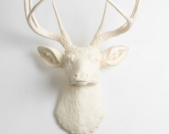 Faux Taxidermy Deer Head in Antique White - The Tobrin Resin Deer Head by White Faux Taxidermy - Mounted Antlers - Faux Head Wall Decor