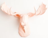 Blush Moose Head Wall Mount, The Lillian - Cameo Pink Resin Moose Head by White Faux Taxidermy, great blush wedding decor
