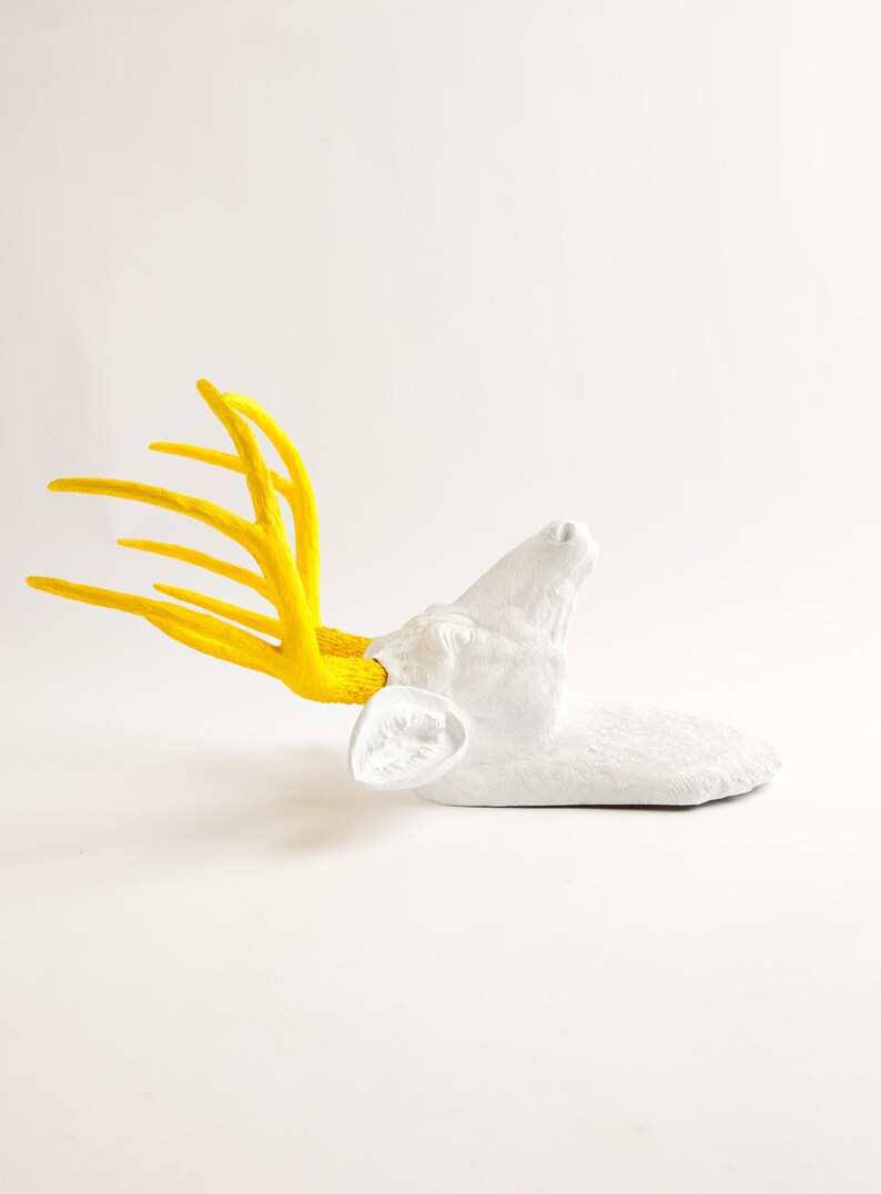 Faux Taxidermy  The Baron  White W/ Yellow Antlers Resin image 2
