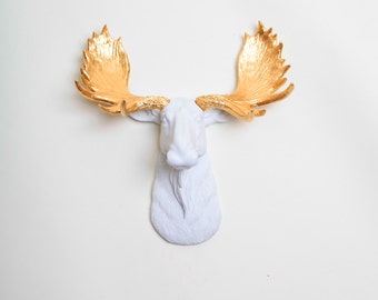 Faux Taxidermy - The MINI Glitz - Resin Moose Head Mount W/ Gold Antlers - Faux Moose Head Decor by White Faux Taxidermy Animal Ornaments