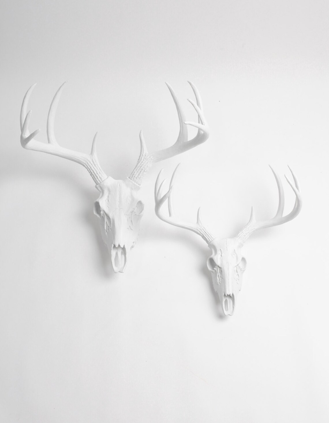 Gold Animal Skull Wall Decor by White Faux Taxidermy ® Mini Etsy