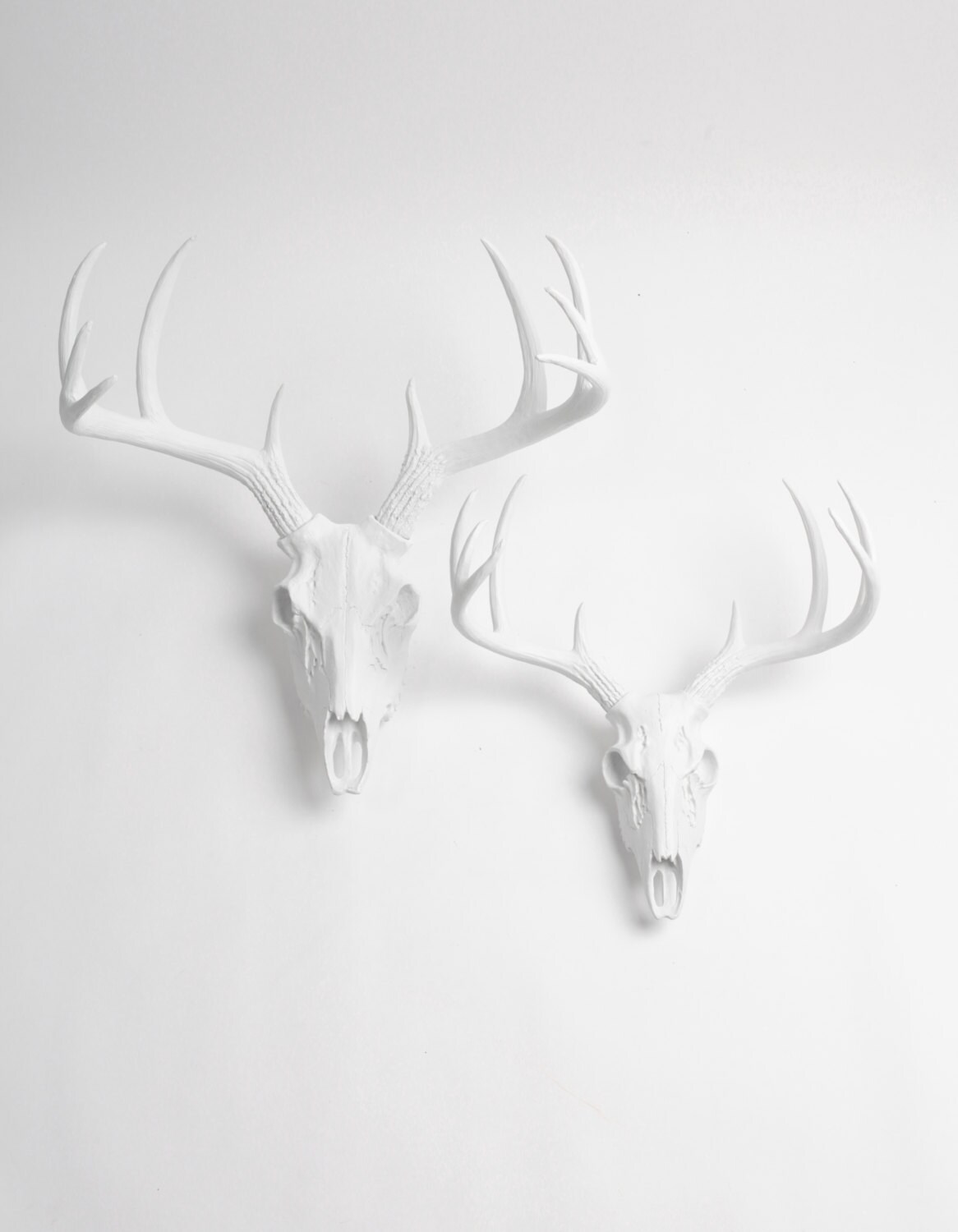 Gold Animal Skull Wall Decor by White Faux Taxidermy ® Mini Etsy UK