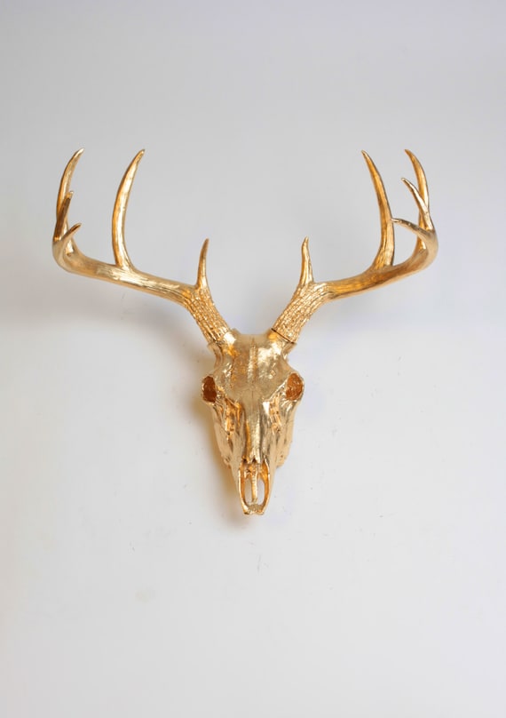 Gold Animal Skull Wall Decor by White Faux Taxidermy Faux Etsy