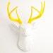 Jennifer Muirhead reviewed Faux Taxidermy - The Baron - White W/ Yellow Antlers Resin Deer Head - Stag Resin by White Faux Taxidermy Animal Wall Ornaments & Home Decor