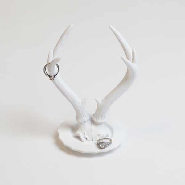 White Antler Ring Holder - White Faux Taxidermy Jewelry Dish - Faux Skull Cap - Resin Faux Taxidermy