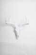 Faux Deer Skull in White - Stag Skull Wall Mount. Resin Animal Skull Head by White Faux Taxidermy ® Western Decor Hanging Fauxidermy 