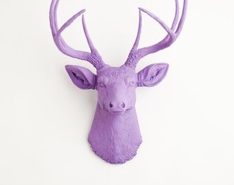 Faux Taxidermy - The Emma - Lavender Resin Deer Head- Deer Antlers Mounted- Faux Head Wall Mount by White Faux Taxidermy Wall Decor