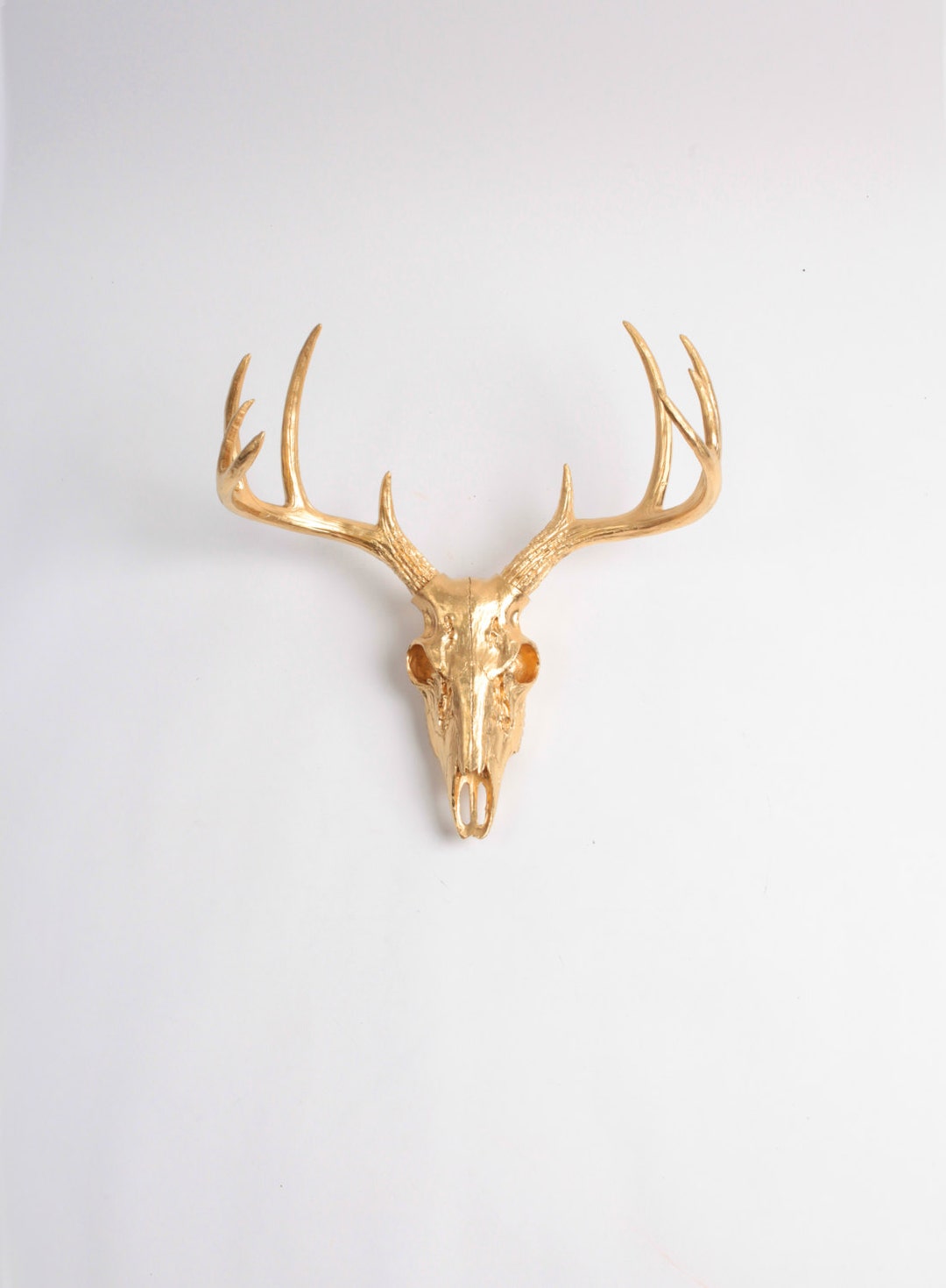 Gold Animal Skull Wall Decor by White Faux Taxidermy ® Mini - Etsy UK