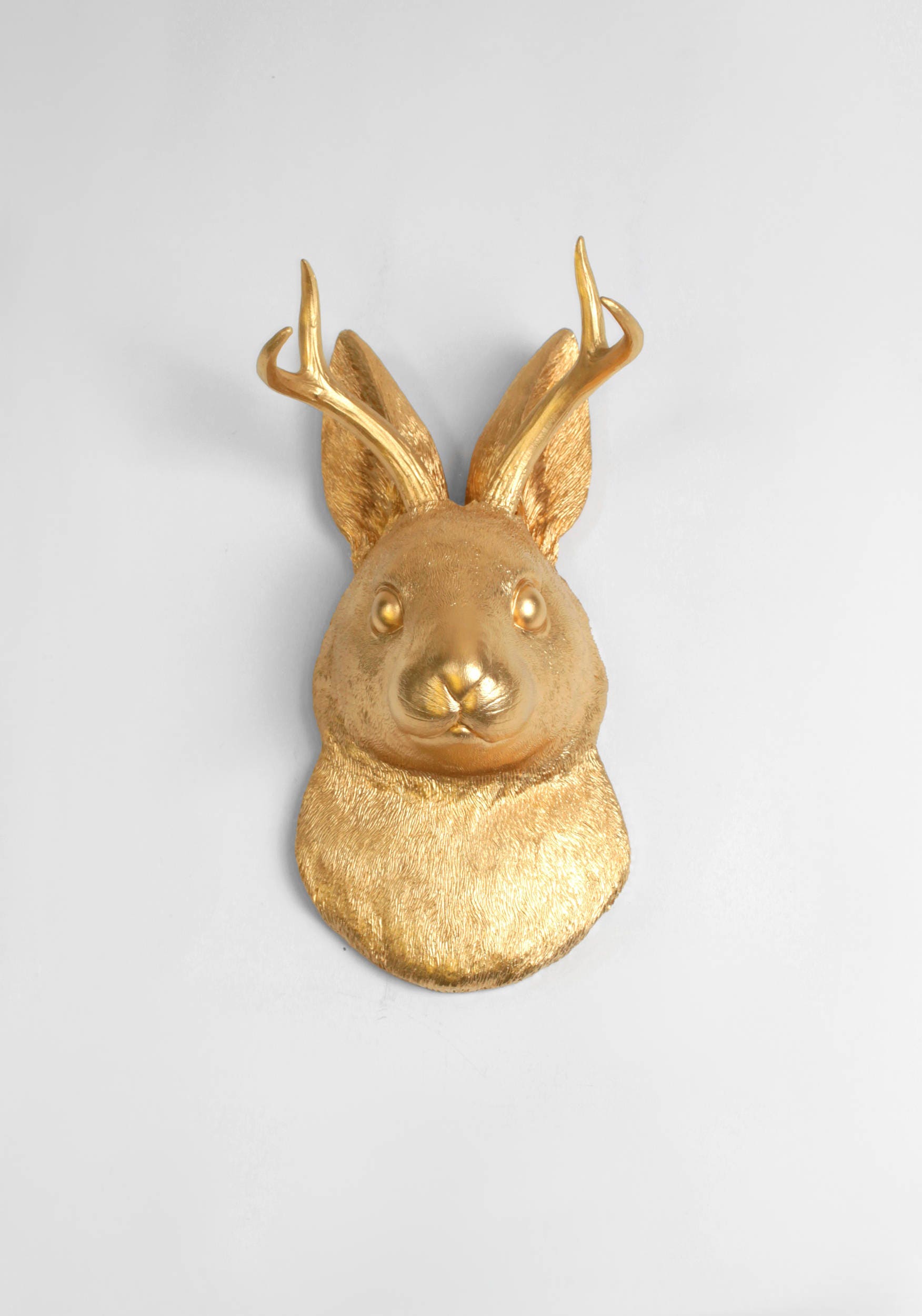 Jackalope Taxidermy for sale Only 2 left at 70