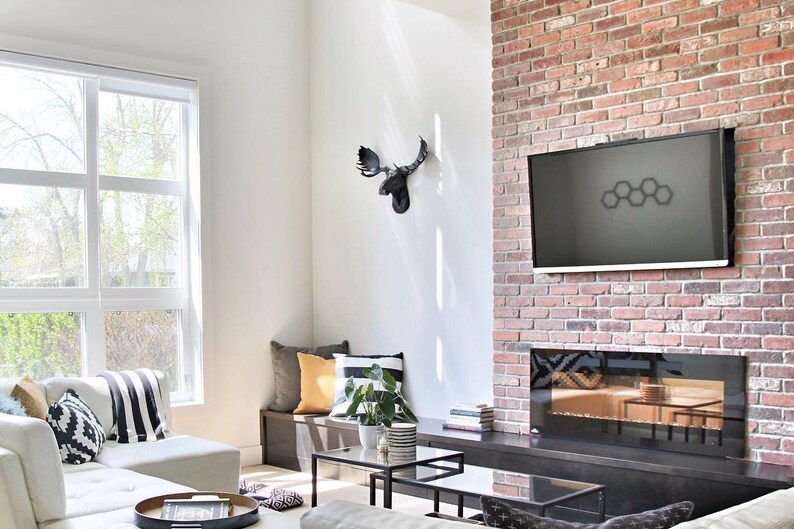 Faux Moose Head The Edmonton  Resin Mounted Moose Head Spring image 4