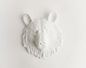 White Bear Head Wall Mount - The Brunskie Mini White Resin Bear Head Wall Decor - Chic Bear Decor & Animal Wall Art by White Faux Taxidermy