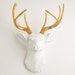 The Alfred Faux Deer_Head Wall Mount, White & Gold Deer Head || Resin Stag Wall Decor by White Faux-Taxidermy Animal Head Wall Hanging Art 