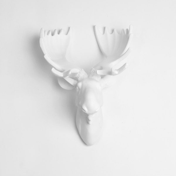 OVER STOCK SALE - White Faux Moose Head w/ White Antlers - The Royale - by White Faux Taxidermy - Chic Faux Animal Wall Sculpture