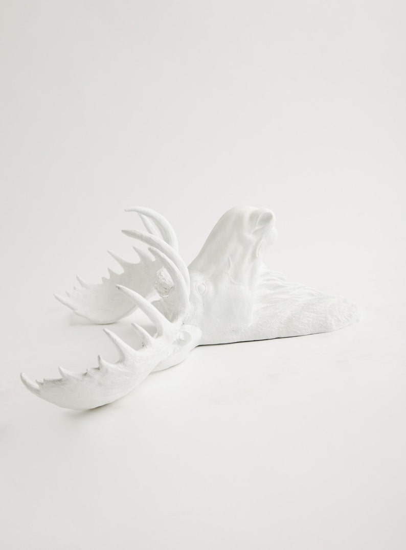 Faux Moose Head The Edmonton  Resin Mounted Moose Head Spring image 3