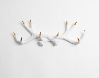 White Deer Antler Rack w/Gold Tips - Decorative Wall Hook - Faux Antlers Decor - Jewelry Organizer - Resin Decor by White Faux Taxidermy