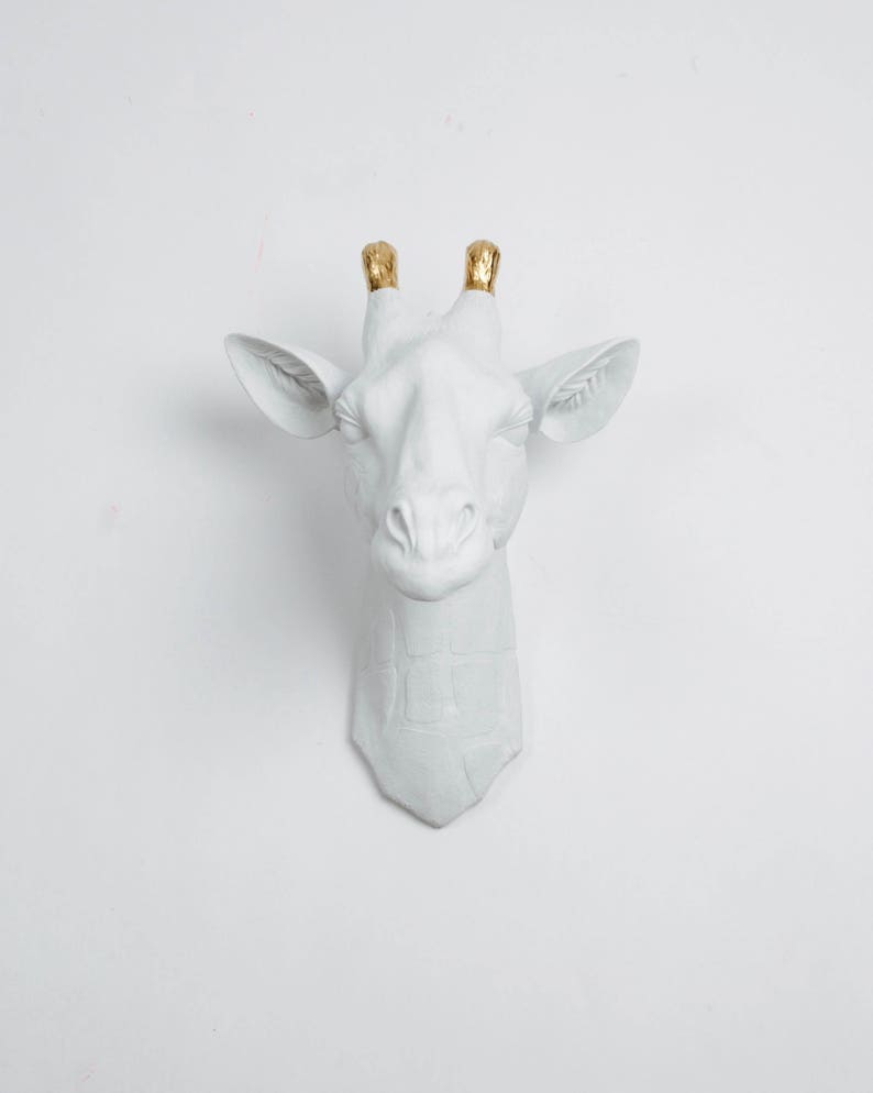 White Gold Giraffe Head Wall Mount the Geronimo by White Etsy
