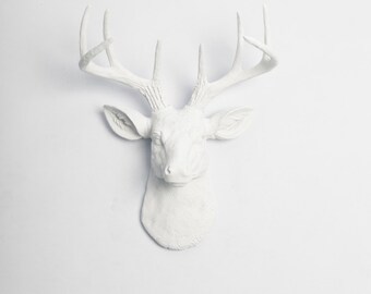 Deer Wall Mount / Fathers Day Gift Idea - The MINI Templeton Deer Decor - White Deer Head Mount - White Resin Deer Head & Antlers Mounted