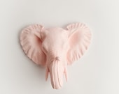 De Quinton-1 roze mini faux olifant hoofd Kids Wall Decor-hars roze faux taxidermie Wall Art-chique hars. Perfect voor kunst aan de muur kinderkamer
