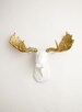 Faux Moose Head  - The Alfredo White w/ Gold Glitter Antlers Resin Animal Head Wall Mount By White Faux Taxidermy - Glitter Moose Wall Decor 