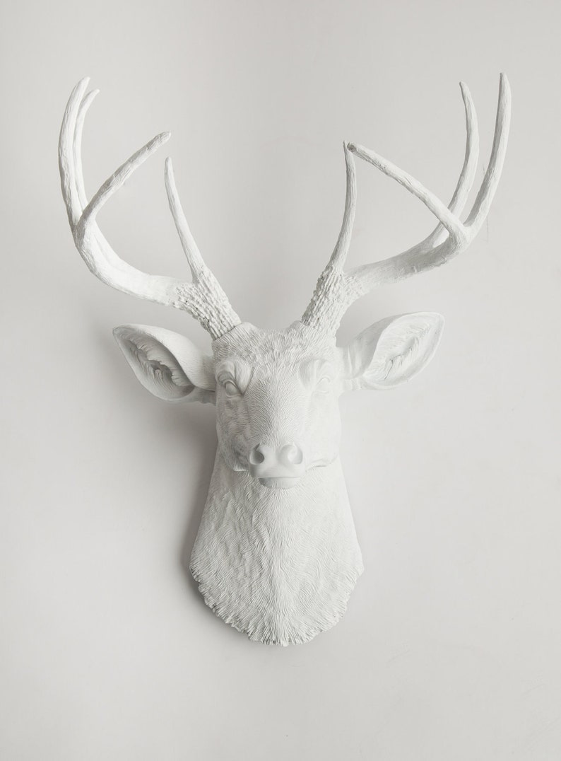 stuffed deer head wall mount